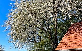 B&B Driel